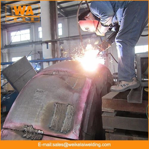 Reparieren Sie Kohlemühlentischliner
